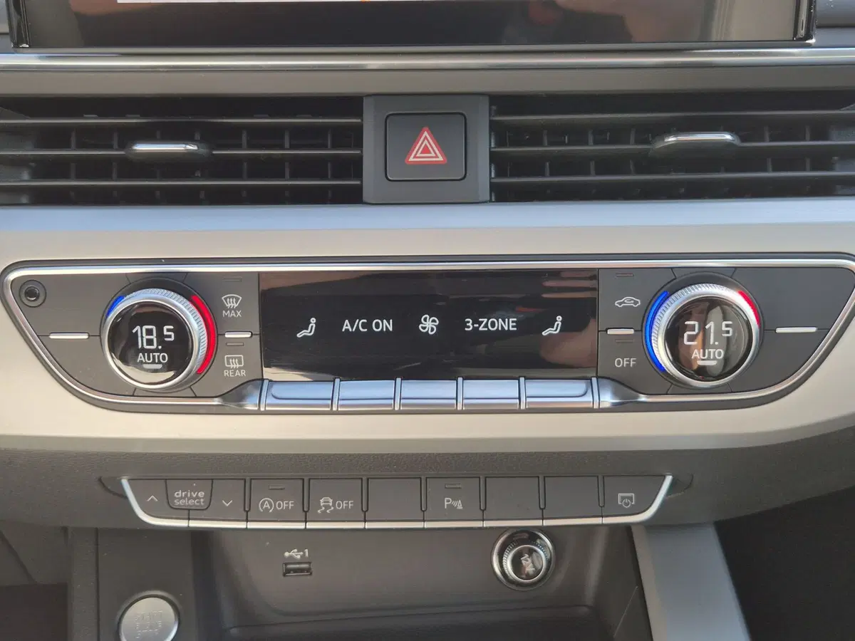 Audi A4 Avant usata  (19)