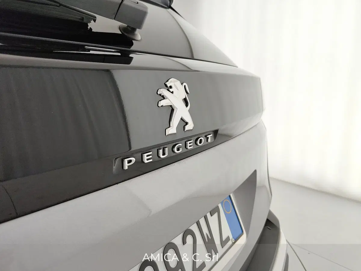 Peugeot 3008 usata a Caserta (10)