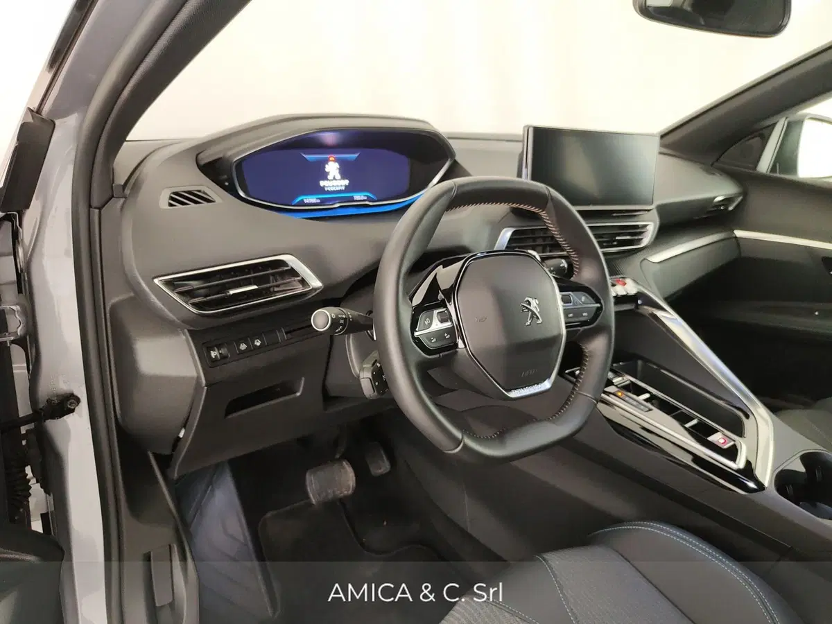 Peugeot 3008 usata a Caserta (19)