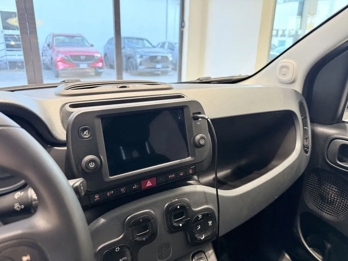 Fiat Panda Cross usata a Latina (13)