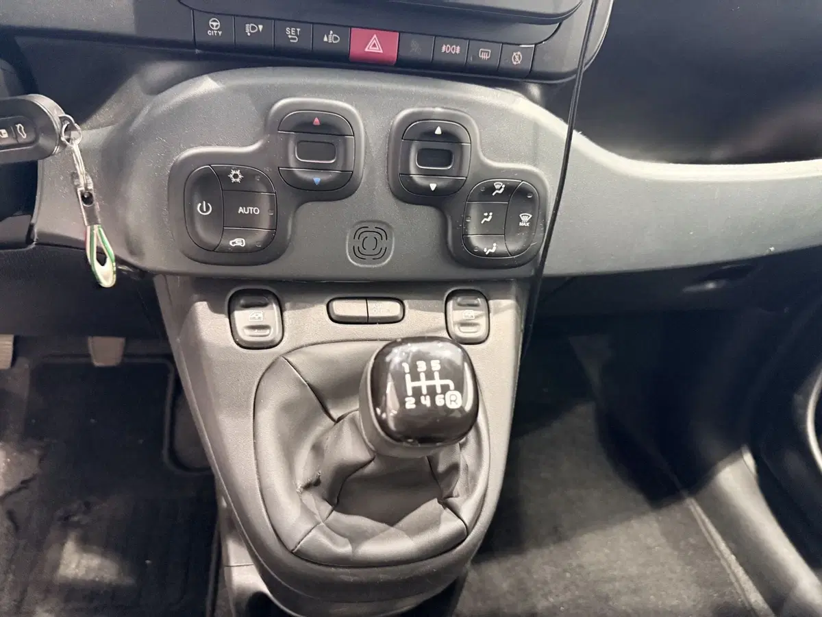 Fiat Panda Cross usata a Latina (19)