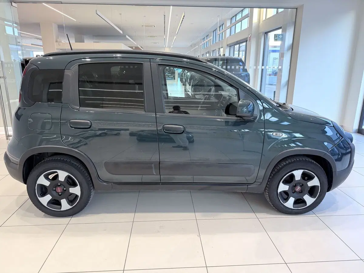 Fiat Panda Cross usata a Latina (2)