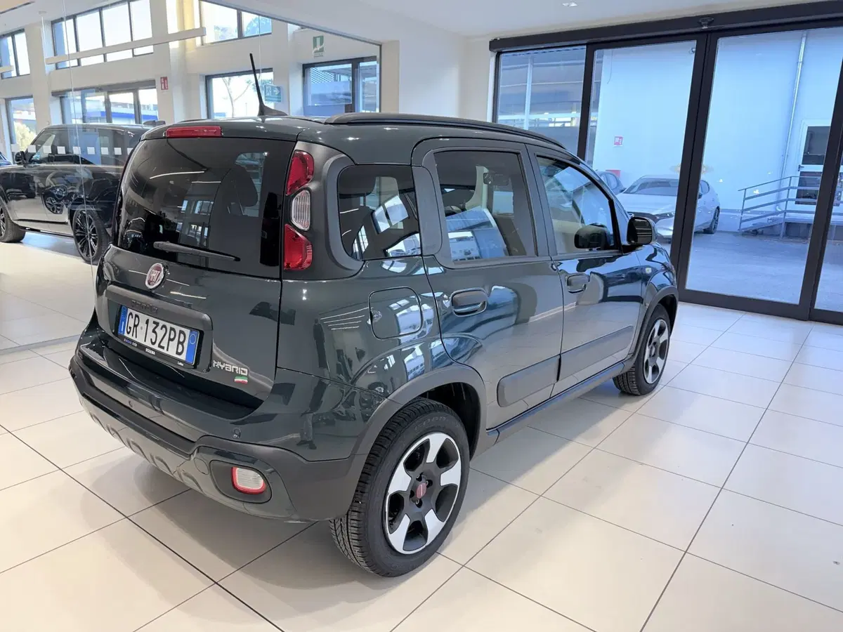 Fiat Panda Cross usata a Latina (4)