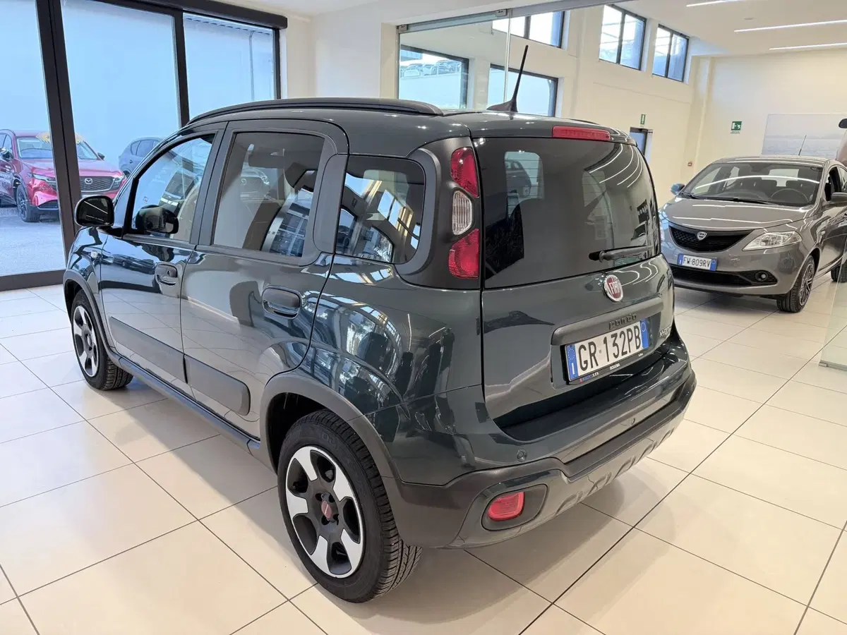 Fiat Panda Cross usata a Latina (5)