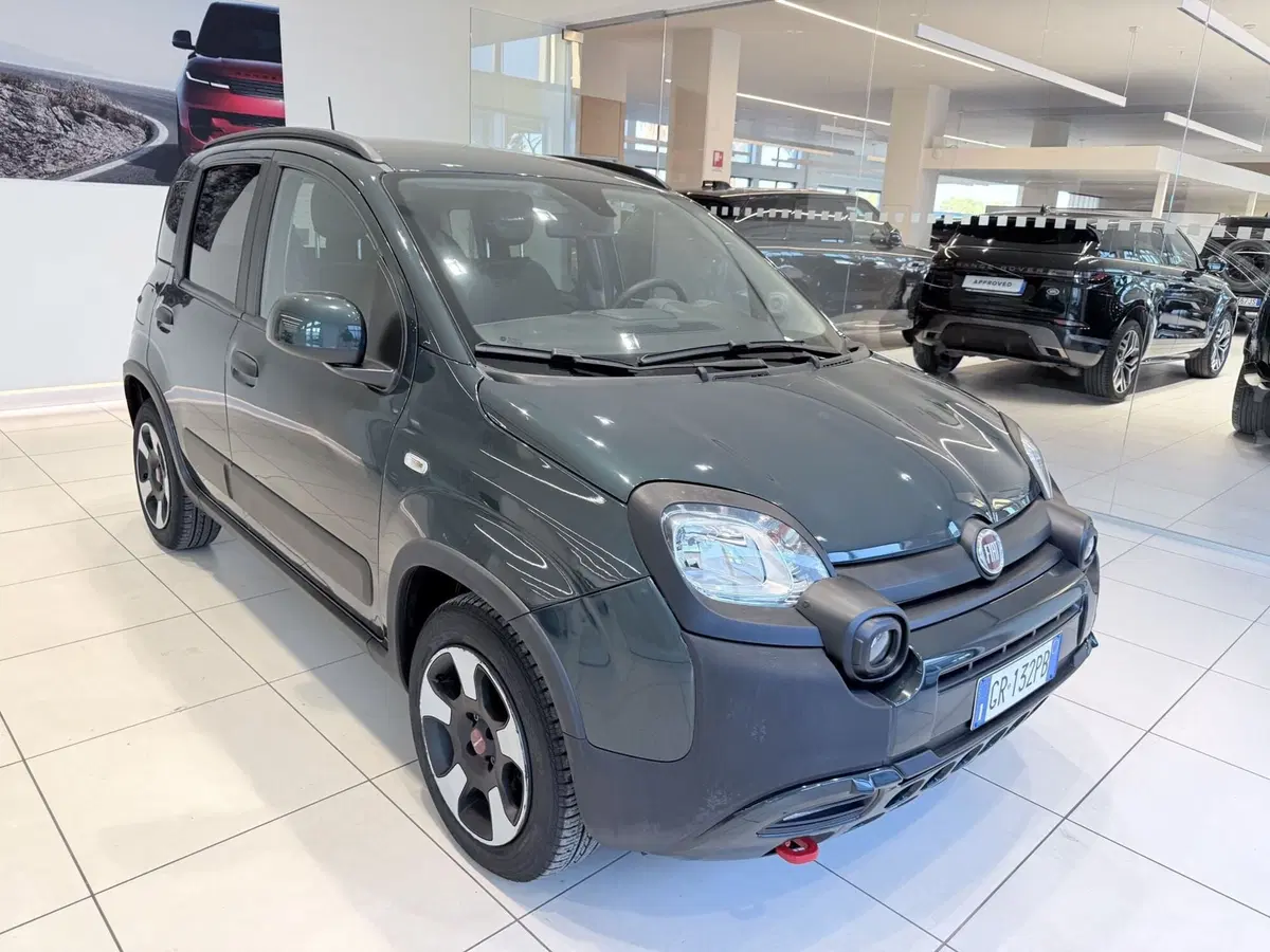 Fiat Panda Cross usata a Latina (7)