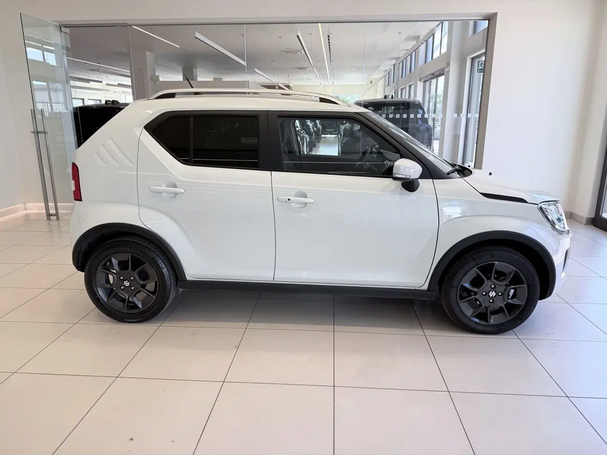 Suzuki Ignis usata a Latina (4)