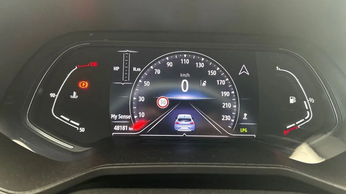 Renault Clio usata a Parma (11)