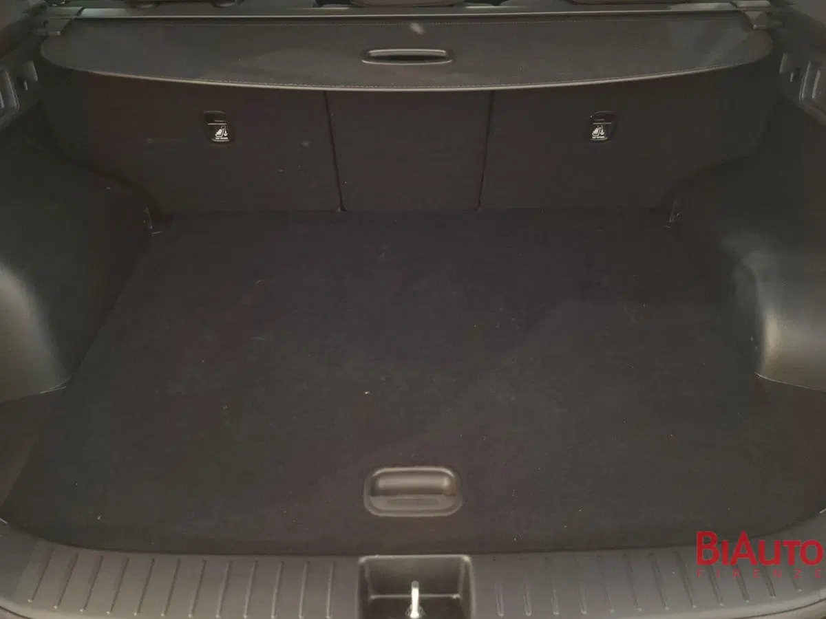 Kia Sportage usata a Firenze (5)