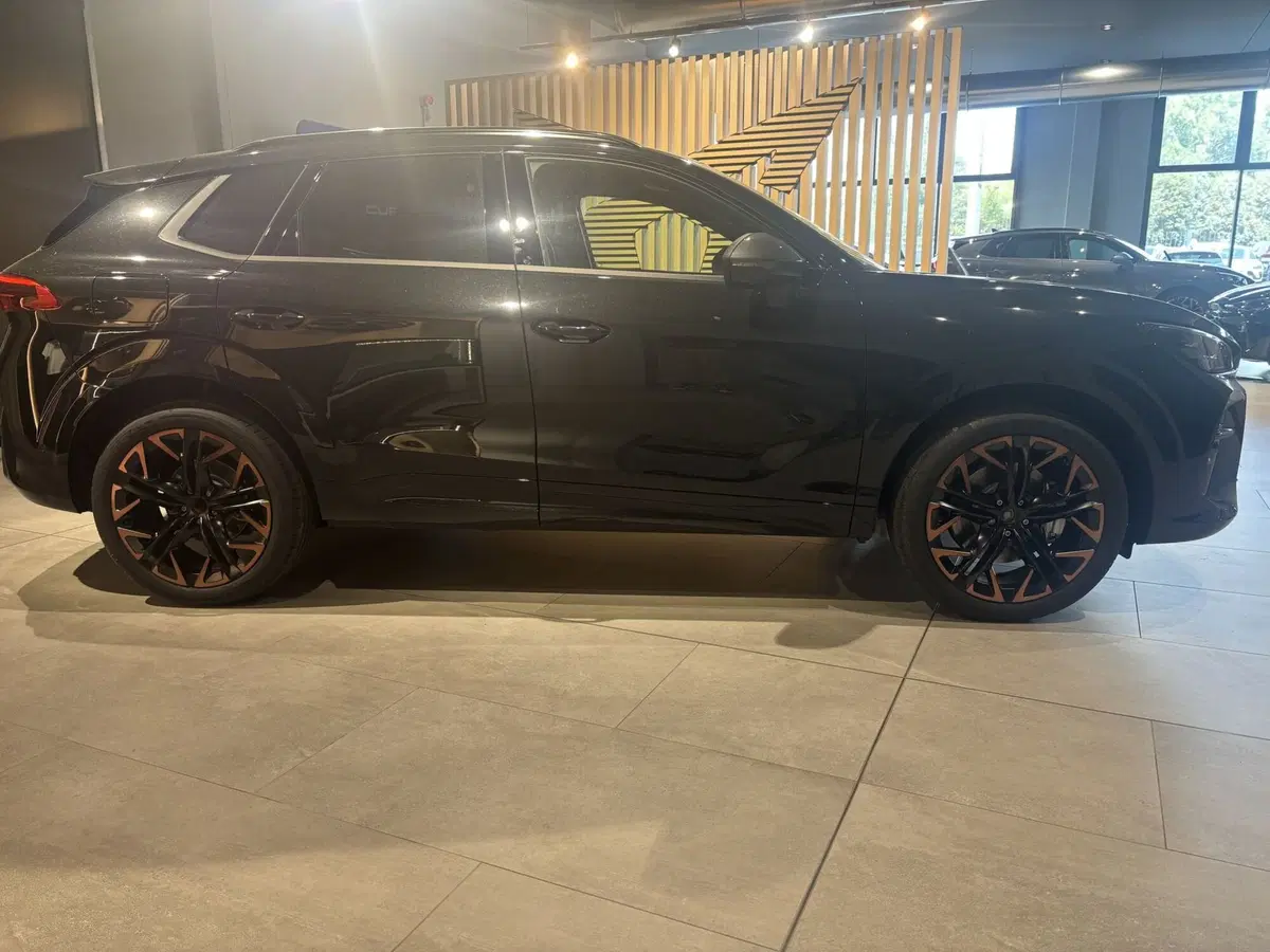 Cupra Terramar nuova a Ferrara (4)