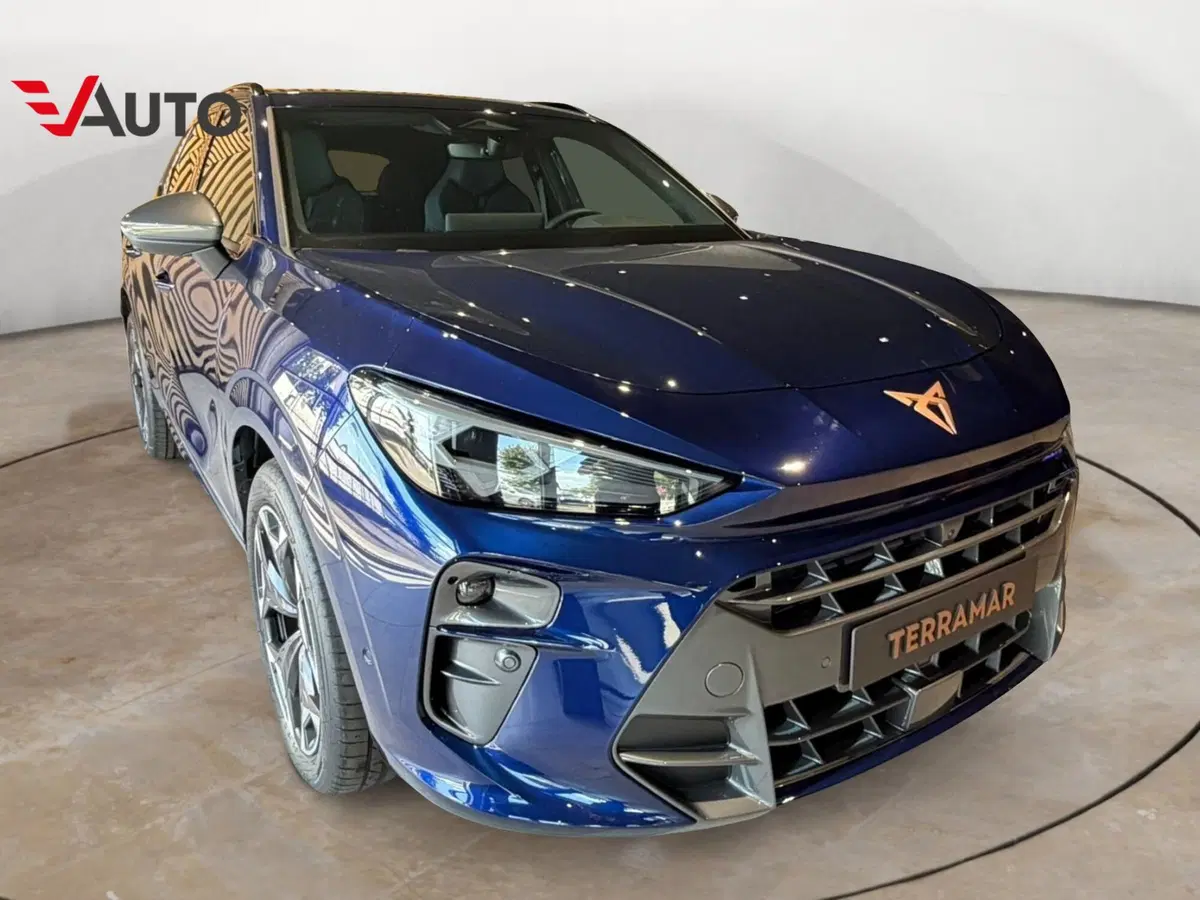 Cupra Terramar nuova a Vercelli (3)
