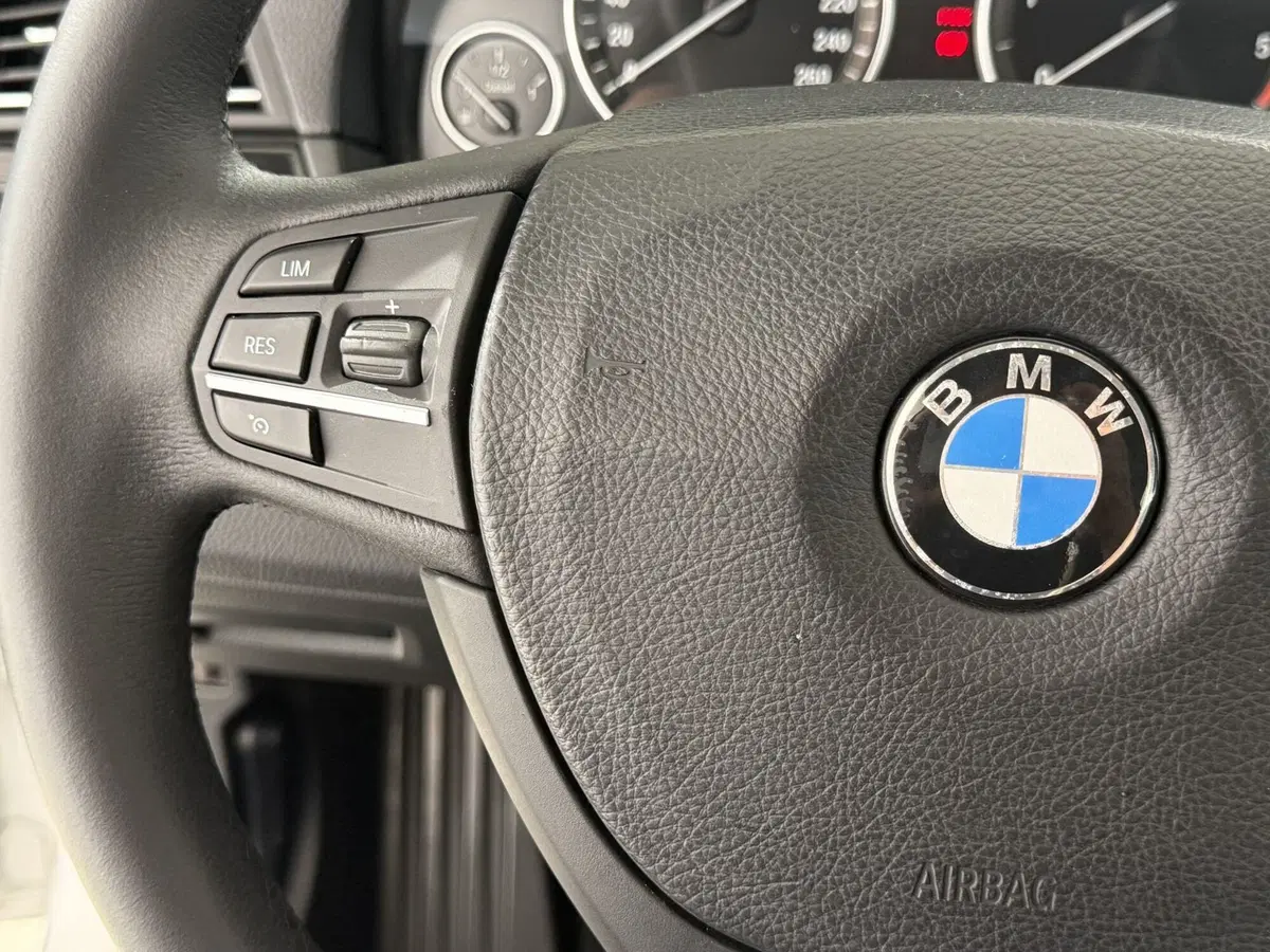 BMW Serie 5 usata a Perugia (13)