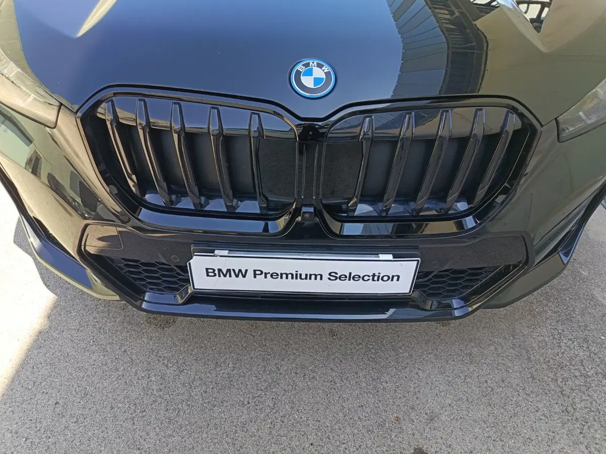 BMW X1 usata a Caserta (20)