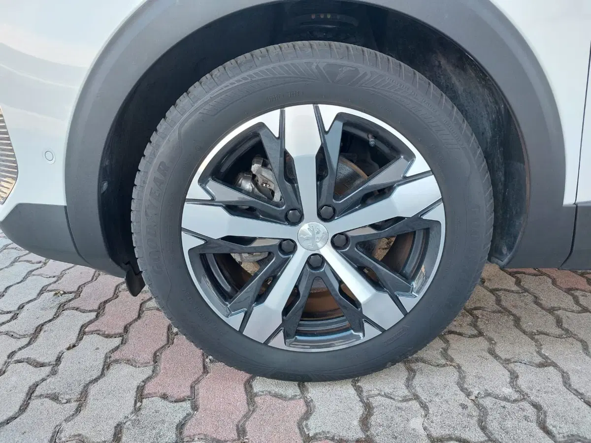 Peugeot 3008 usata a Pavia (14)