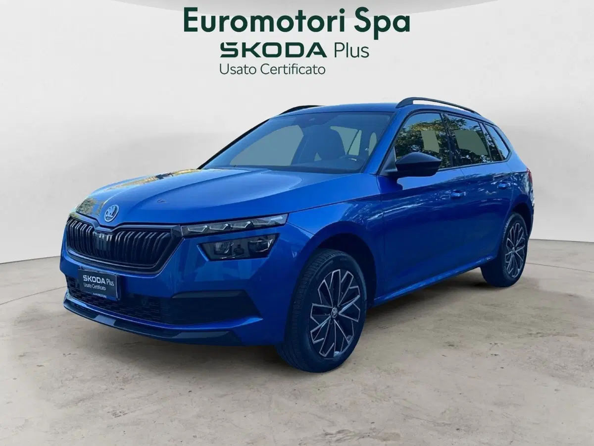 Skoda Kamiq usata a Grosseto