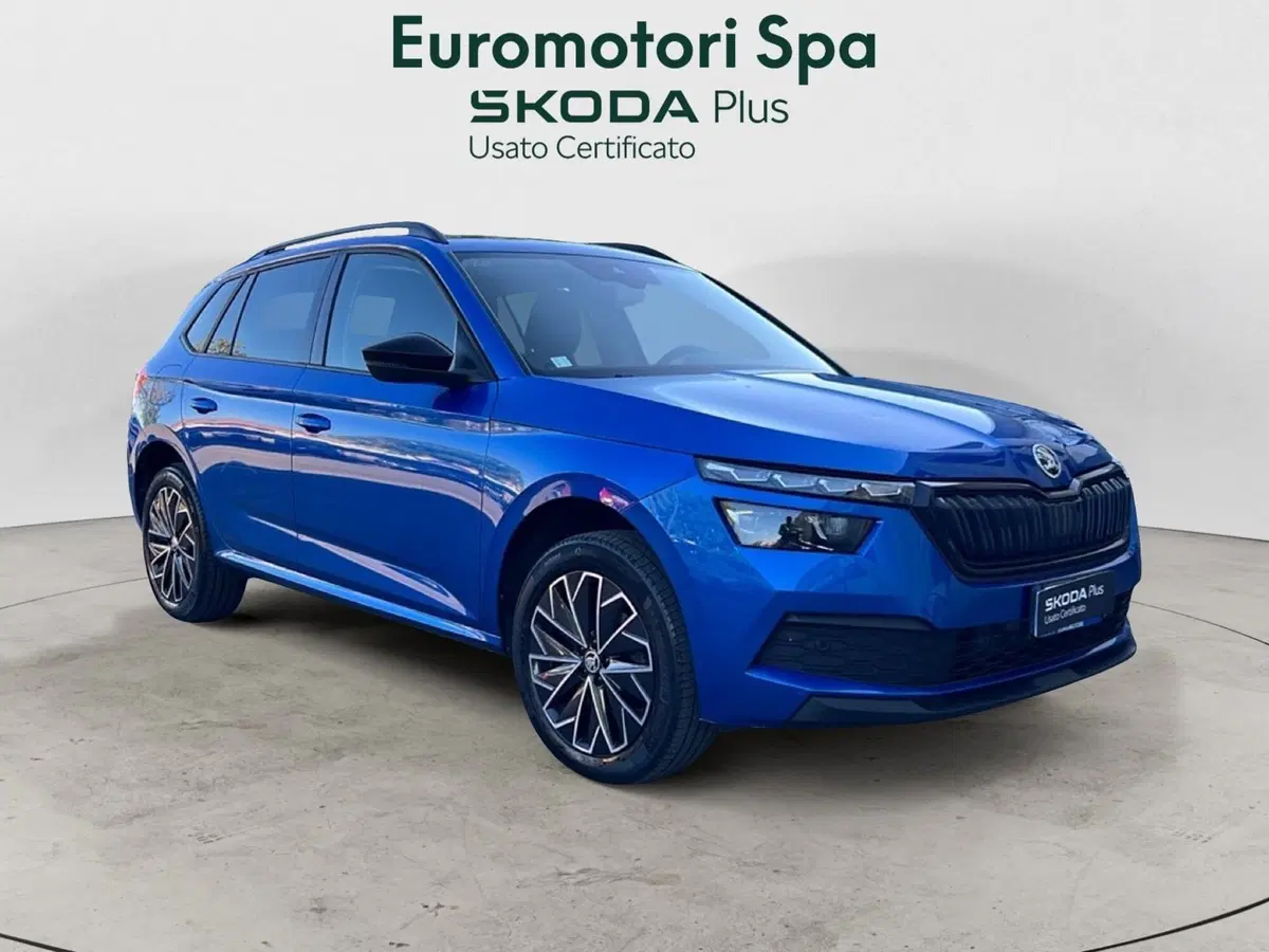 Skoda Kamiq usata a Grosseto (6)