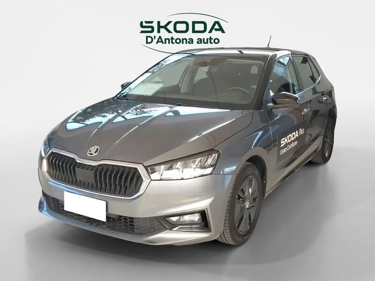 Skoda Fabia usata a Taranto (3)