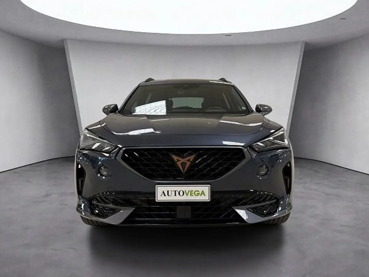 Cupra Formentor usata a Vicenza (2)