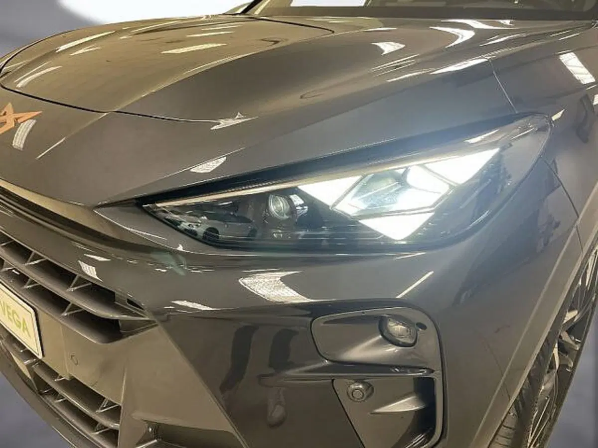 Cupra Terramar nuova a Vicenza (19)