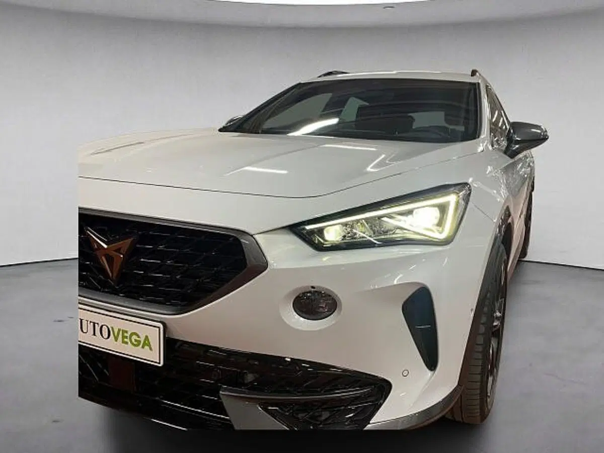 Cupra Formentor usata a Vicenza (19)