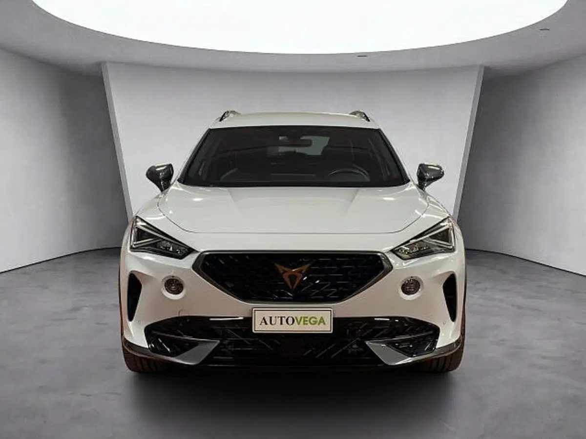 Cupra Formentor usata a Vicenza (2)