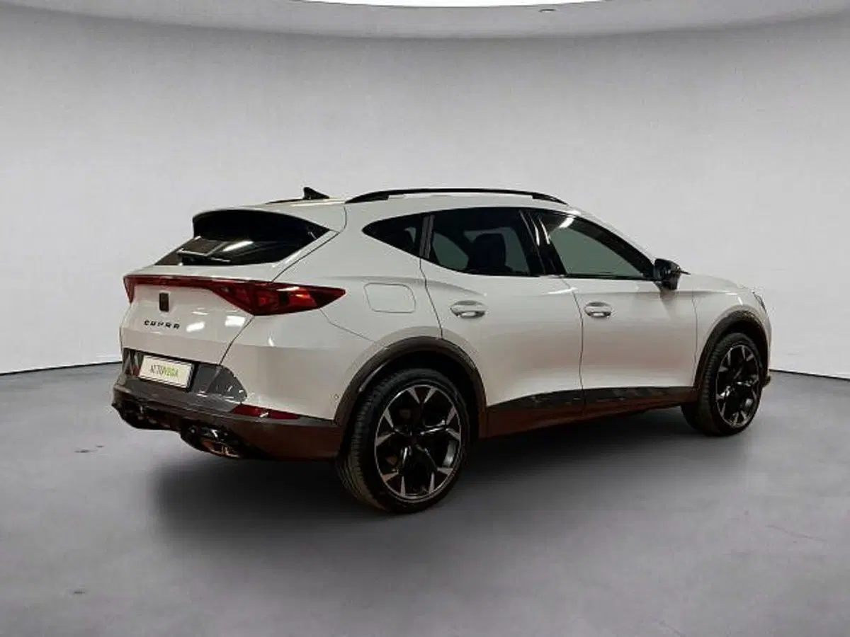 Cupra Formentor usata a Vicenza (4)
