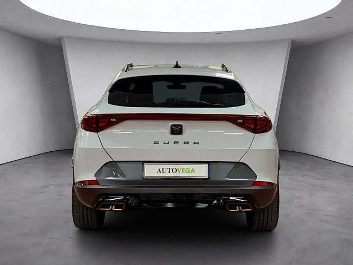 Cupra Formentor usata a Vicenza (5)