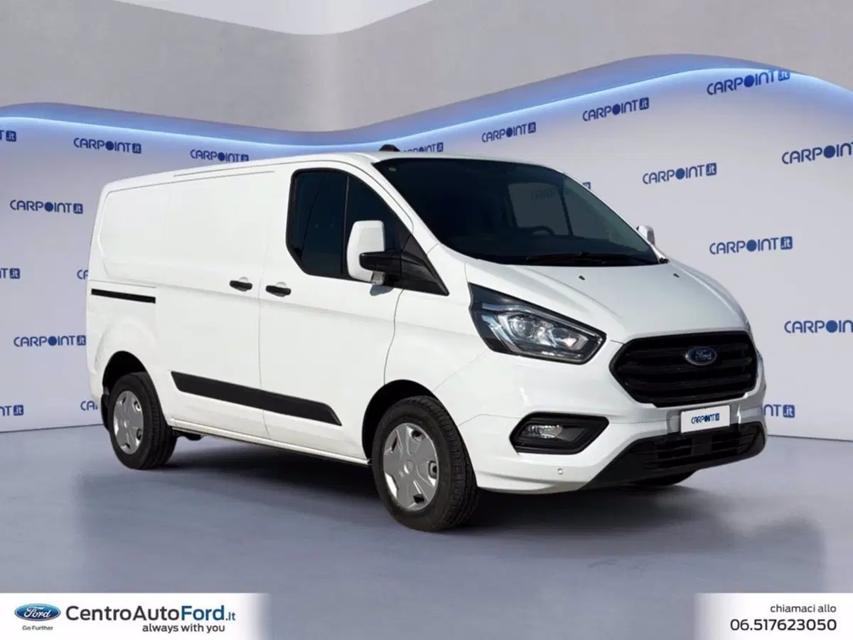 Ford Transit Custom Furgone usata a Roma (7)