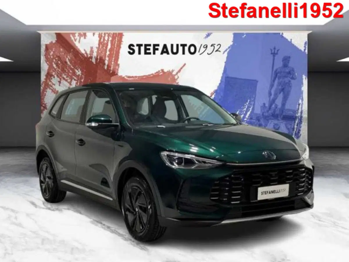 Mg ZS nuova a Bologna