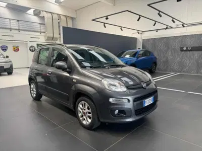 Fiat Panda 1.2 Lounge del 2016 usata a Vercelli