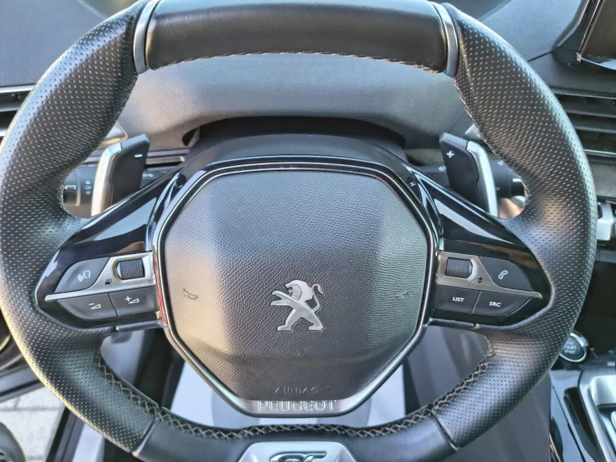 Peugeot 3008 usata a Firenze (9)