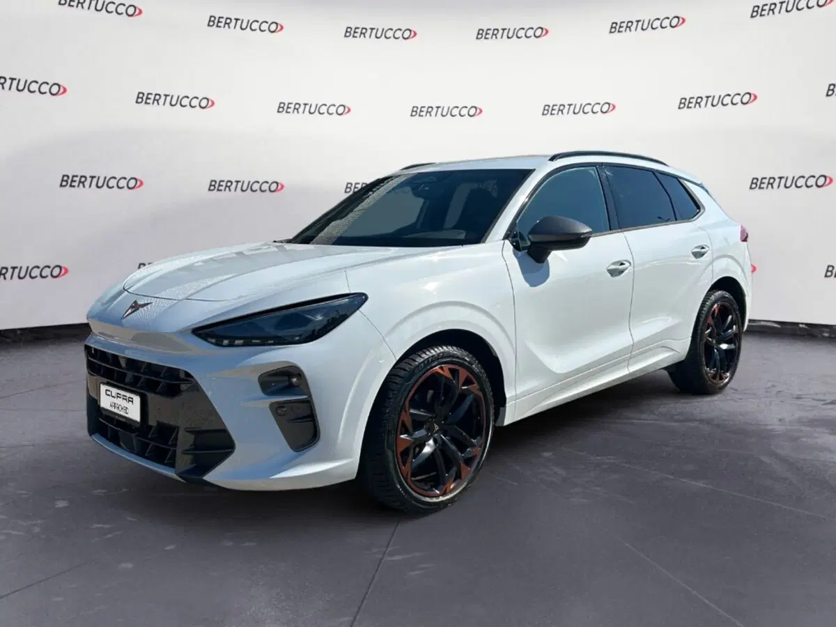 Cupra Terramar usata a Verona