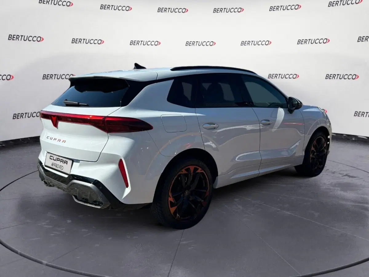 Cupra Terramar usata a Verona (2)