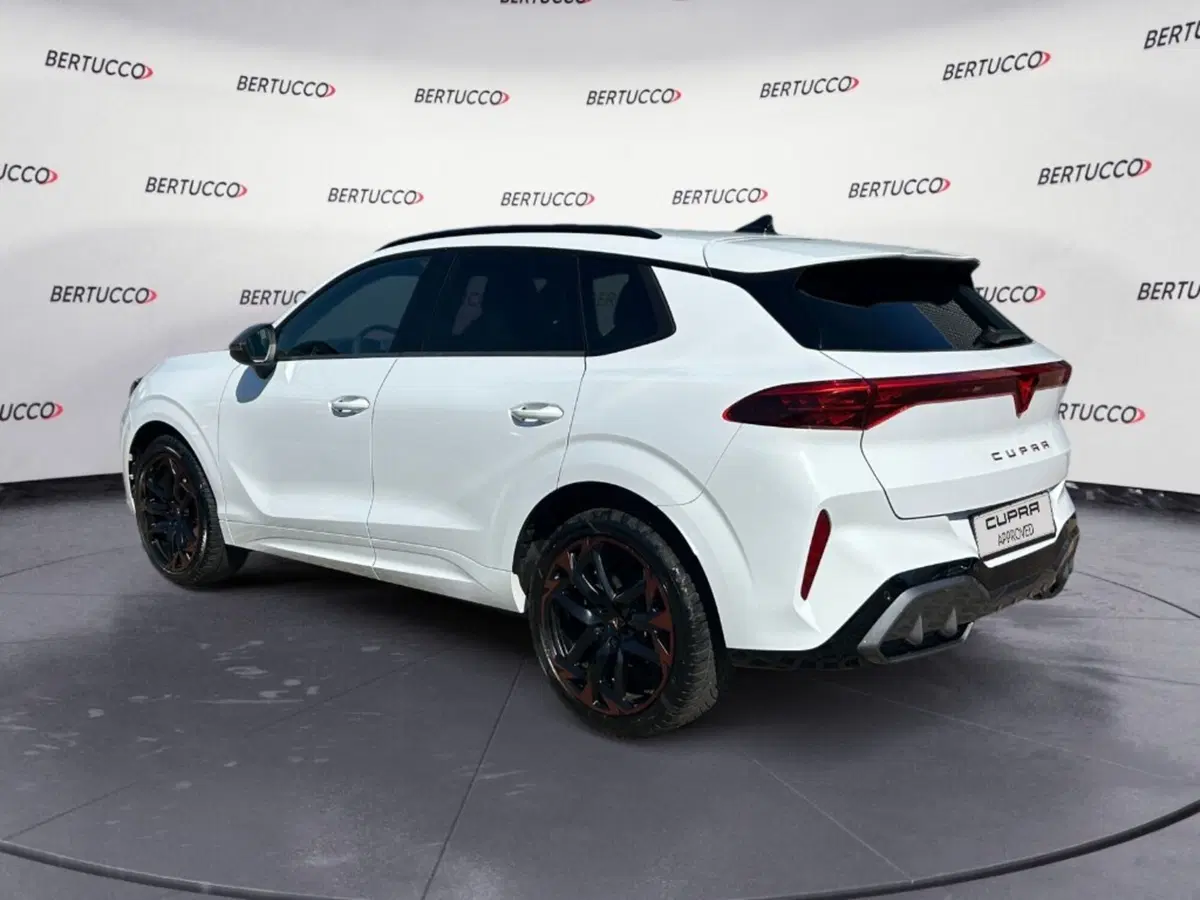 Cupra Terramar usata a Verona (3)