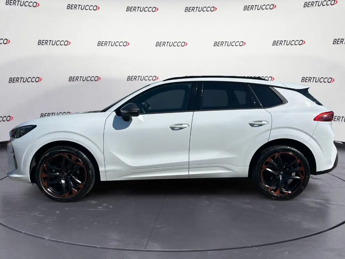 Cupra Terramar usata a Verona (4)