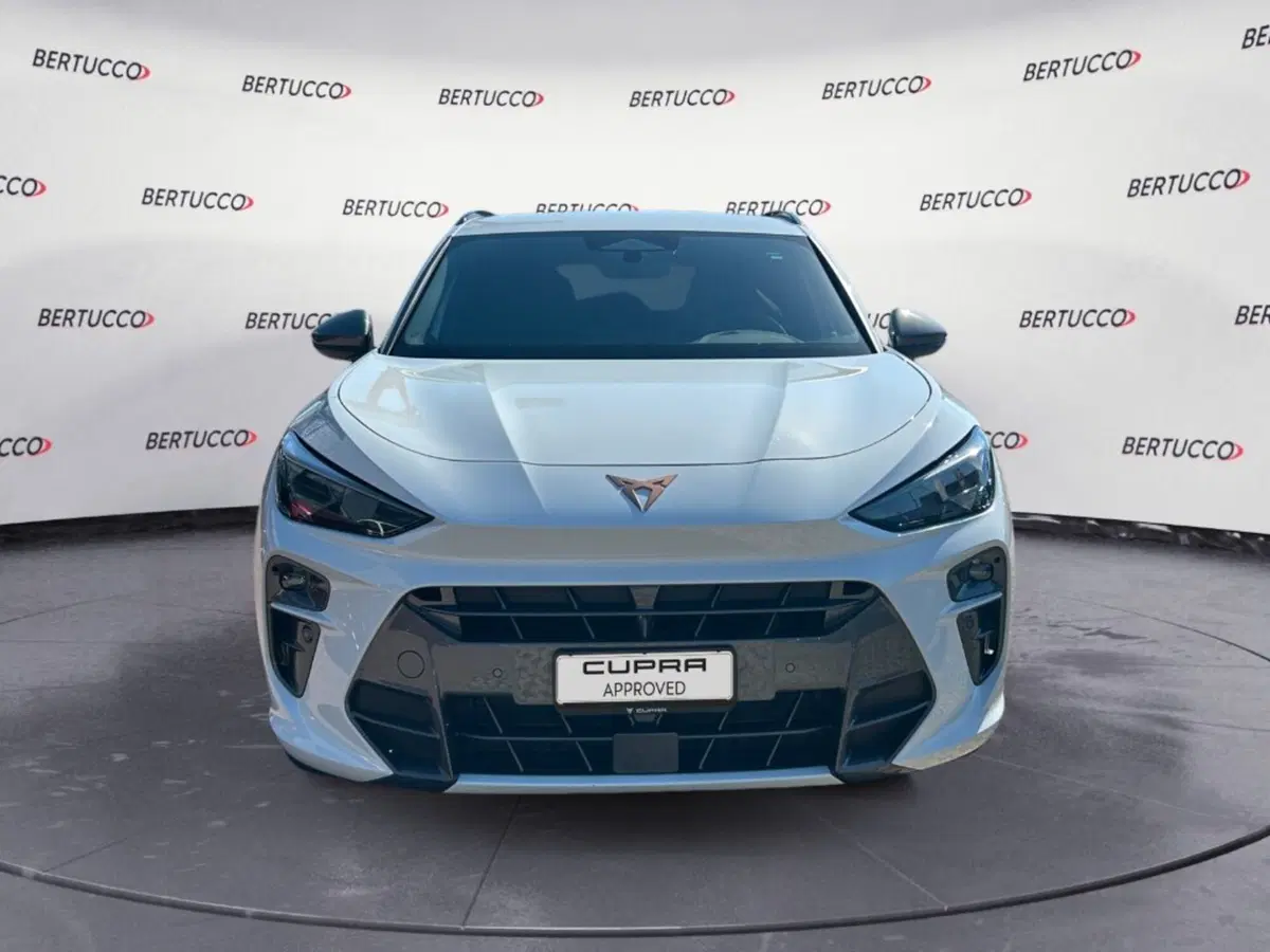 Cupra Terramar usata a Verona (5)
