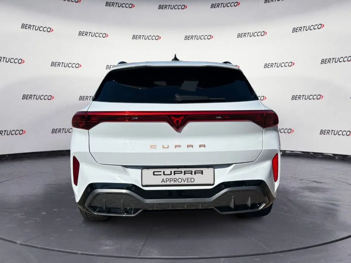 Cupra Terramar usata a Verona (8)