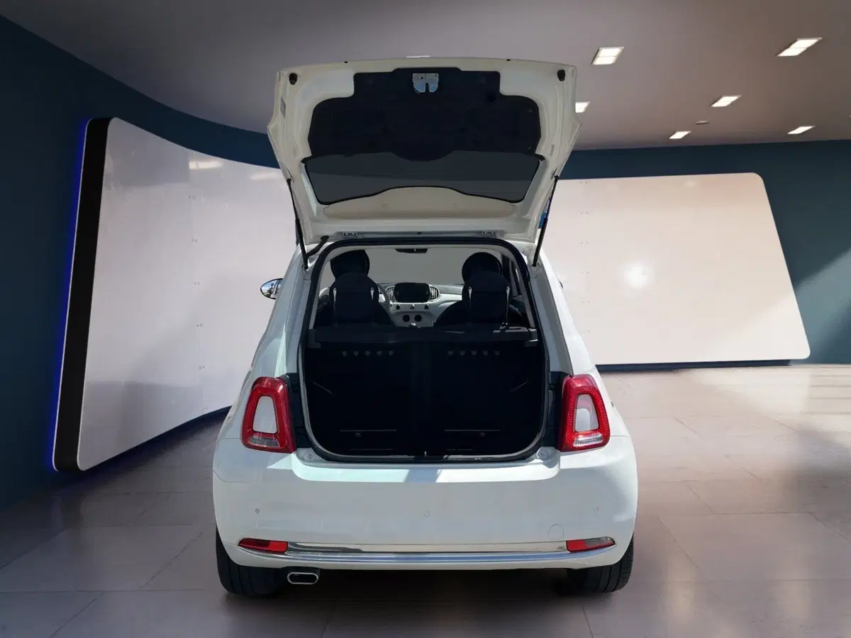 Fiat 500 usata a Torino (8)