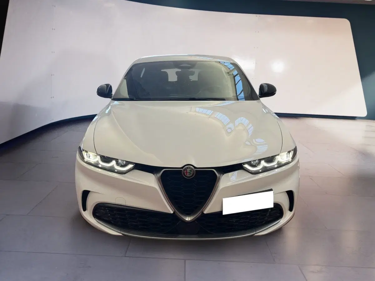 Alfa Romeo Tonale usata a Torino