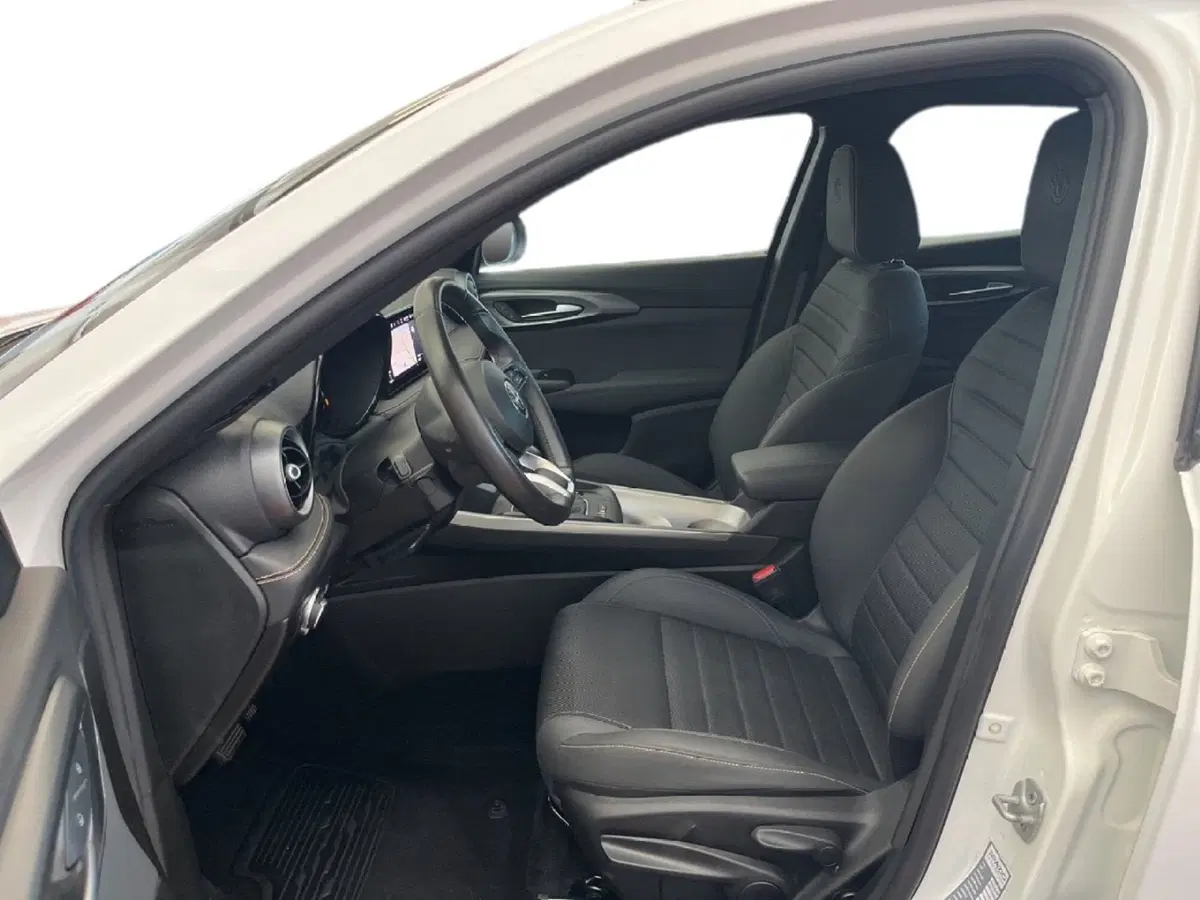 Alfa Romeo Tonale usata a Torino (10)