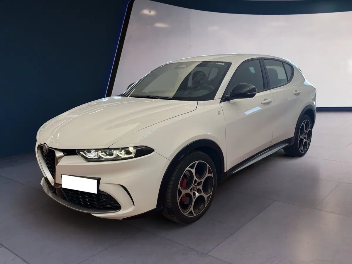 Alfa Romeo Tonale usata a Torino (2)