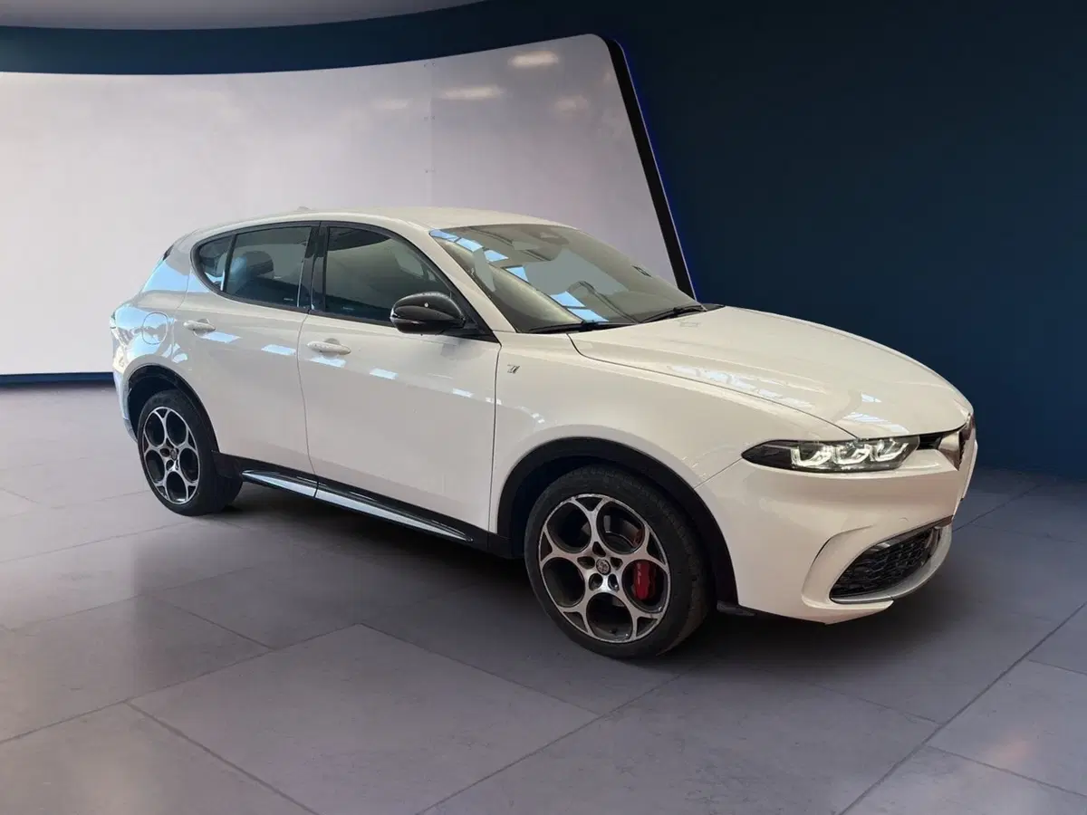 Alfa Romeo Tonale usata a Torino (3)