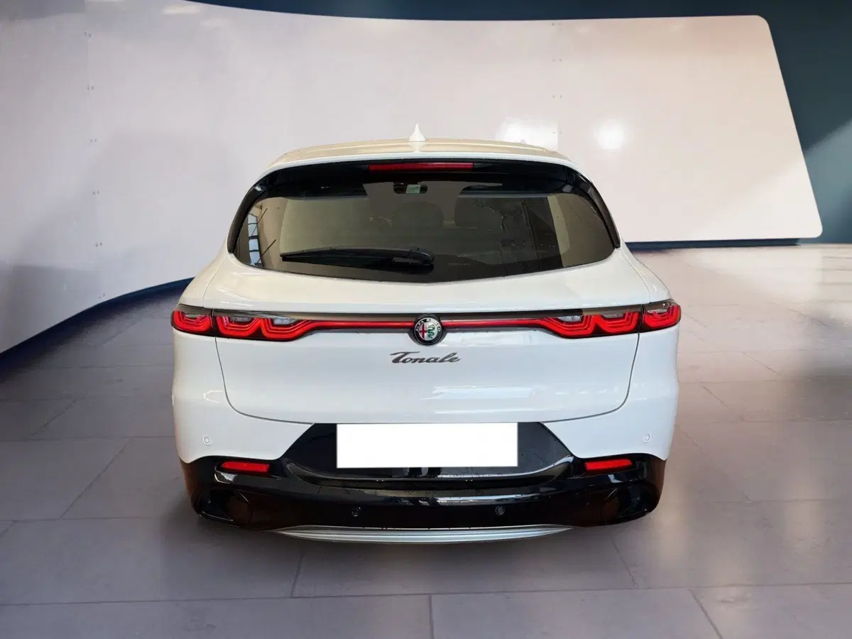 Alfa Romeo Tonale usata a Torino (5)