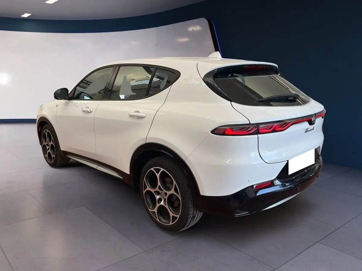 Alfa Romeo Tonale usata a Torino (6)