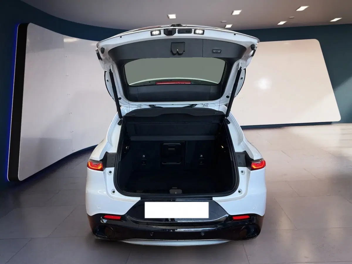 Alfa Romeo Tonale usata a Torino (7)