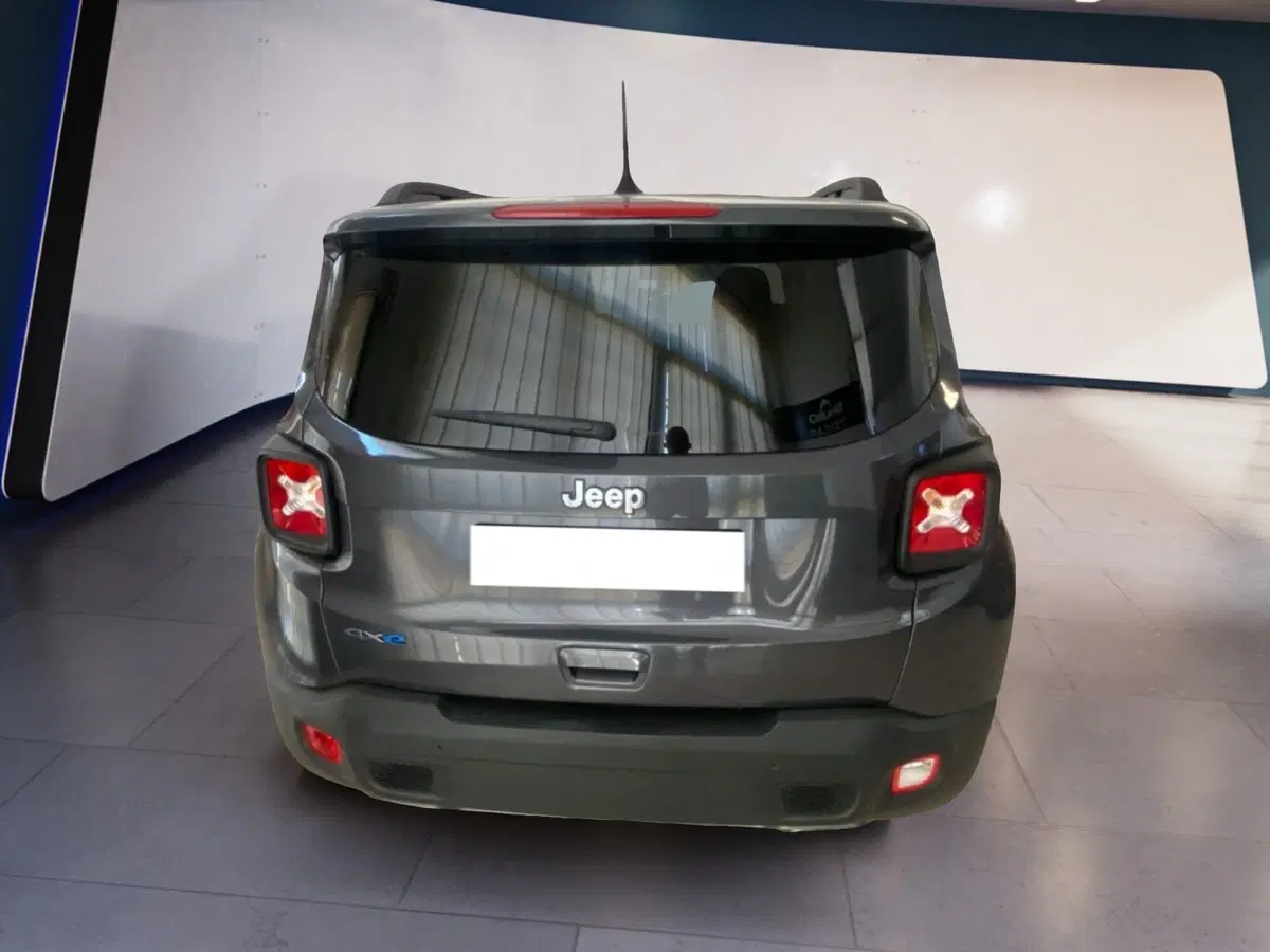 Jeep Renegade usata a Torino (10)