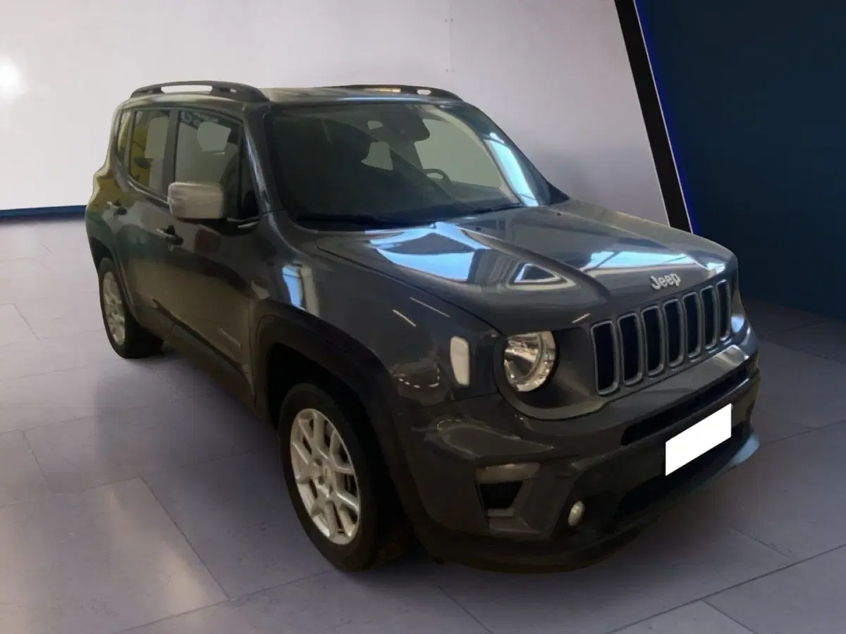Jeep Renegade usata a Torino (7)