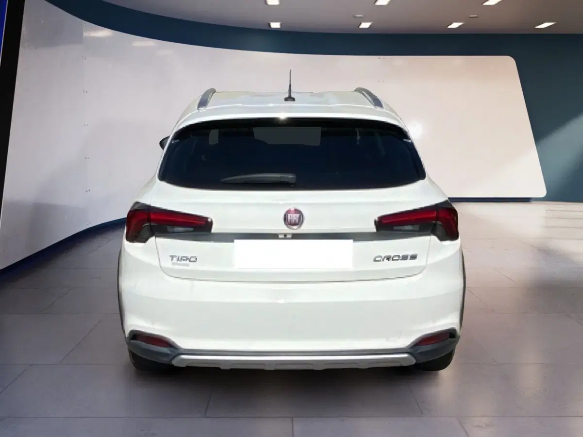 Fiat Tipo usata a Torino (10)