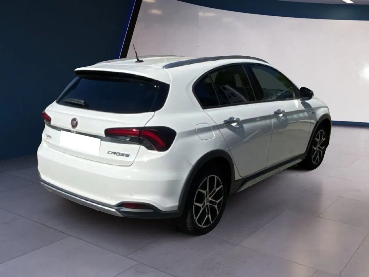 Fiat Tipo usata a Torino (11)