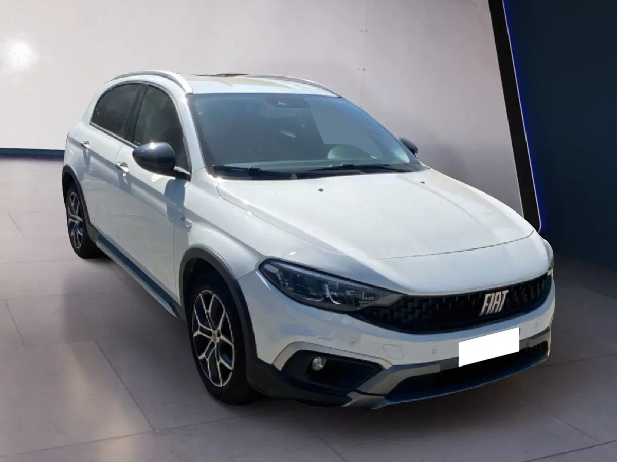 Fiat Tipo usata a Torino (7)