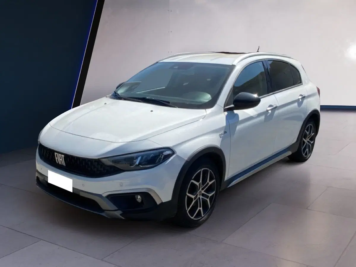 Fiat Tipo usata a Torino (8)
